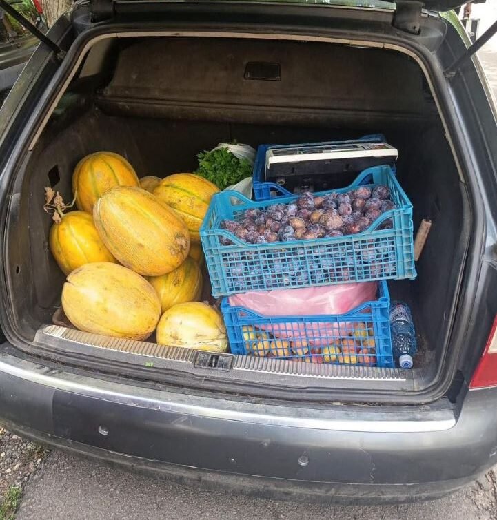 Vindeau pepeni și porumb fără autorizație. Poliția Locală Constanța le-a confiscat autovehiculele