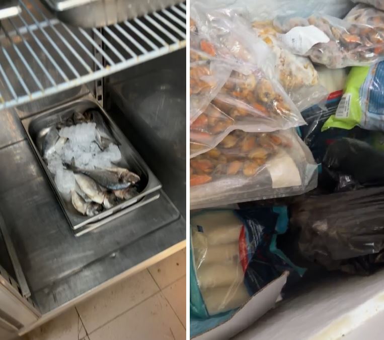 Control CJPC Constanța la restaurantul Pontica: peste 60 de kilograme de pește fără acte, produse expirate și condiții grave de igienă