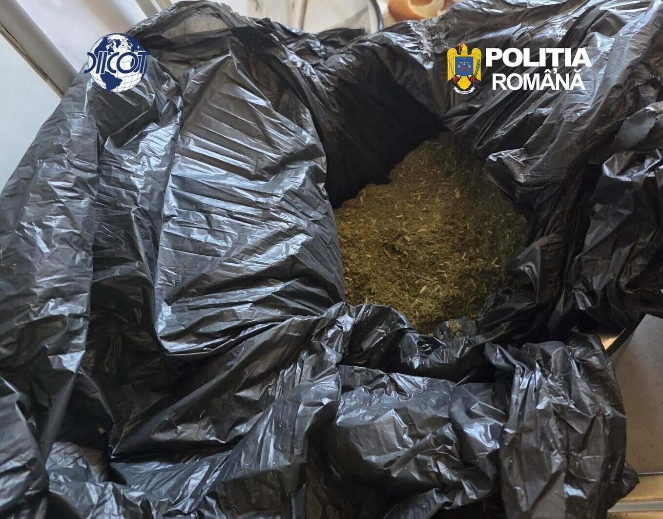 Droguri de mare risc aduse din Olanda și distribuite pe litoral. Liderul ar fi coordonat afacerea din penitenciar