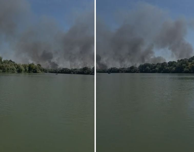 Incendiu de vegetație în zona Ostrovului Babina, lângă Chilia Veche. Pericol de extindere la fondul forestier