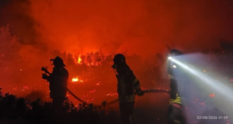 Pompierii români, în prima linie a luptei cu incendiile din Grecia: au apărat locuințe și au salvat animale din calea flăcărilor