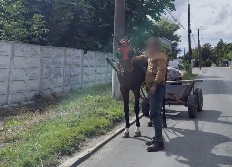 Căruță ridicată de polițiștii locali pe strada Celulozei din Constanța. Un bărbat a fost amendat cu peste 1.200 de lei