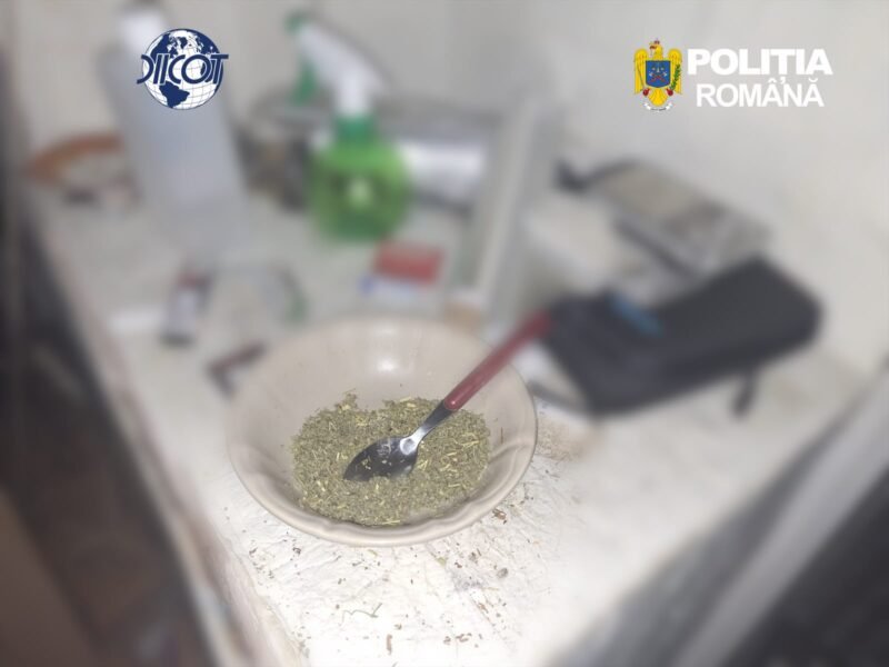 Percheziții la Constanța într-un dosar de trafic de droguri. Un tânăr de 26 de ani, reținut