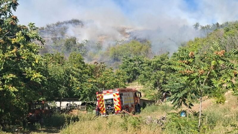 Incendiu de vegetație în Tulcea. Focul a ajuns la fondul forestier