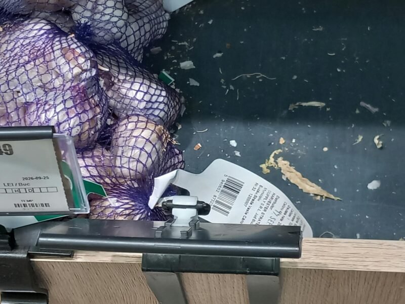 Produse expirate și vitrine frigorifice murdare în Constanța. Amenzi de peste jumătate de milion de lei, aplicate de CJPC